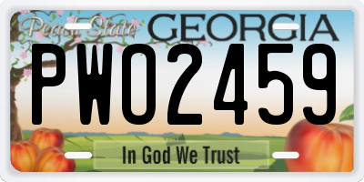GA license plate PWO2459