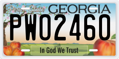 GA license plate PWO2460