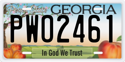 GA license plate PWO2461