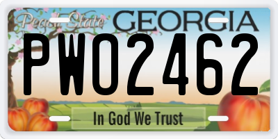 GA license plate PWO2462