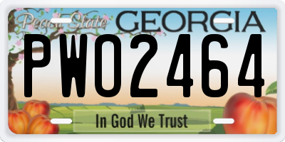 GA license plate PWO2464