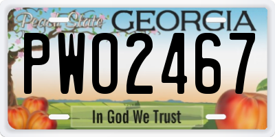 GA license plate PWO2467