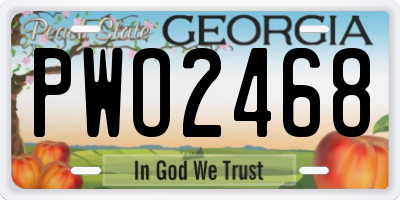 GA license plate PWO2468
