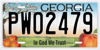 GA license plate PWO2479