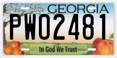 GA license plate PWO2481