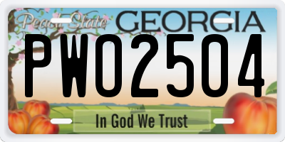 GA license plate PWO2504