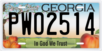 GA license plate PWO2514