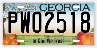 GA license plate PWO2518