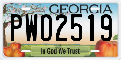 GA license plate PWO2519
