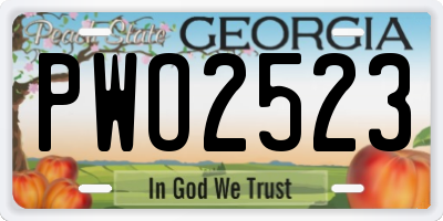 GA license plate PWO2523