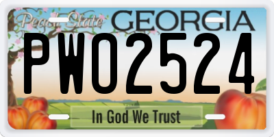 GA license plate PWO2524