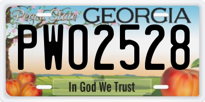 GA license plate PWO2528