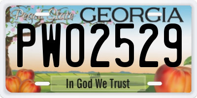 GA license plate PWO2529