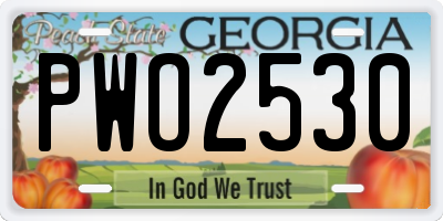 GA license plate PWO2530