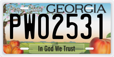 GA license plate PWO2531