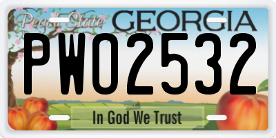GA license plate PWO2532