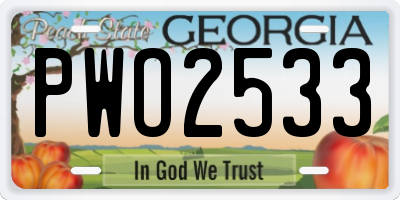 GA license plate PWO2533