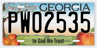GA license plate PWO2535