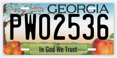 GA license plate PWO2536