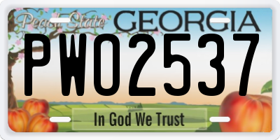GA license plate PWO2537