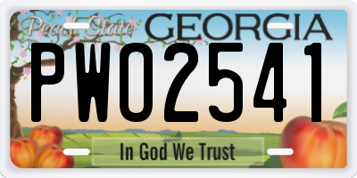 GA license plate PWO2541