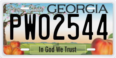 GA license plate PWO2544