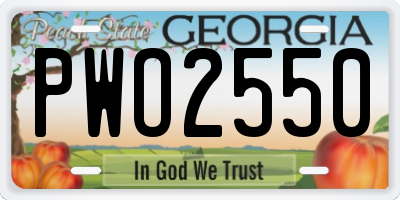 GA license plate PWO2550
