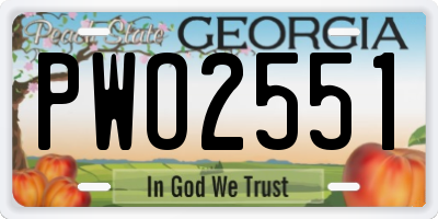 GA license plate PWO2551