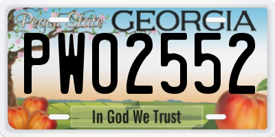 GA license plate PWO2552