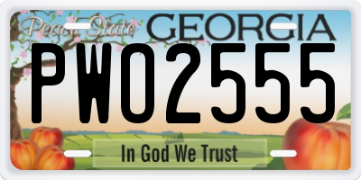 GA license plate PWO2555