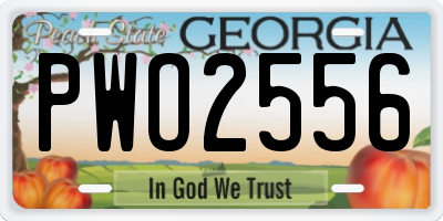 GA license plate PWO2556