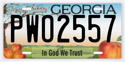 GA license plate PWO2557