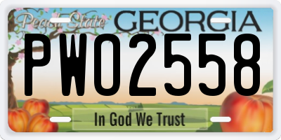 GA license plate PWO2558