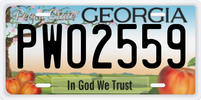 GA license plate PWO2559