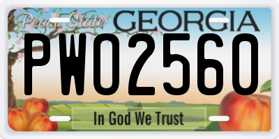 GA license plate PWO2560