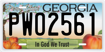GA license plate PWO2561