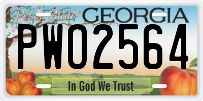 GA license plate PWO2564