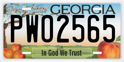 GA license plate PWO2565