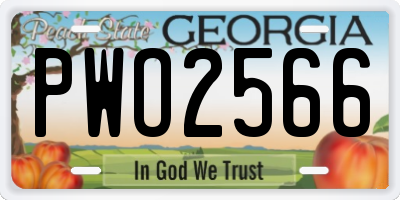 GA license plate PWO2566