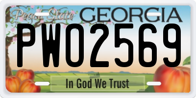 GA license plate PWO2569