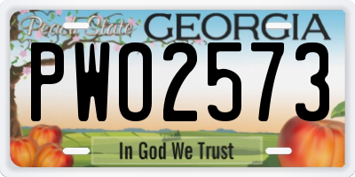 GA license plate PWO2573