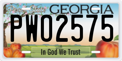 GA license plate PWO2575