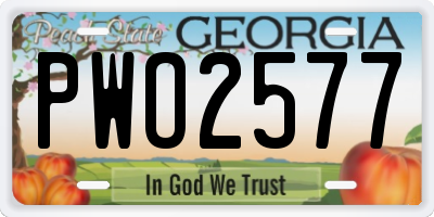 GA license plate PWO2577
