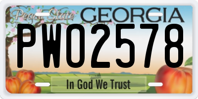 GA license plate PWO2578