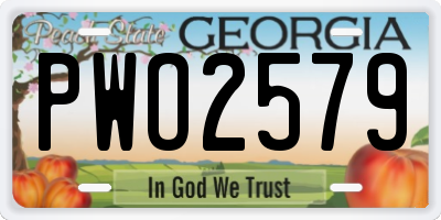 GA license plate PWO2579