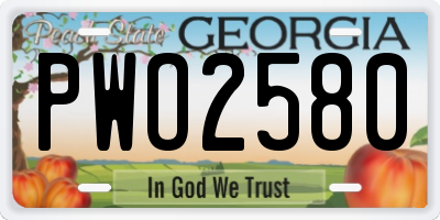 GA license plate PWO2580