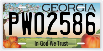 GA license plate PWO2586