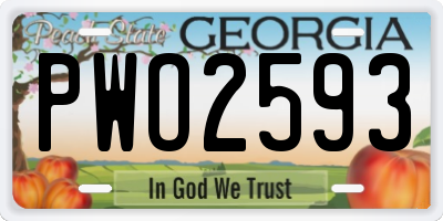 GA license plate PWO2593