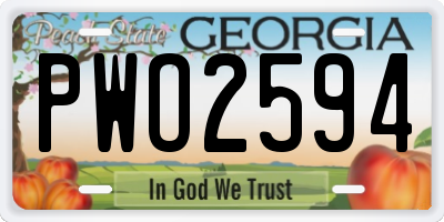 GA license plate PWO2594