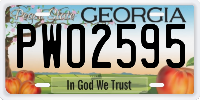 GA license plate PWO2595